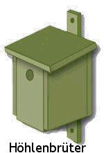 Benutzerübermitteltes Bild