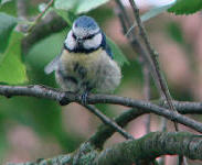 Benutzerübermitteltes Bild