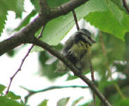 Benutzerübermitteltes Bild