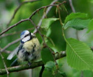 Benutzerübermitteltes Bild