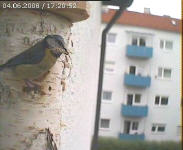 Benutzerübermitteltes Bild