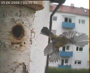 Benutzerübermitteltes Bild