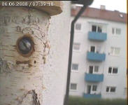 Benutzerübermitteltes Bild