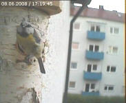 Benutzerübermitteltes Bild