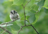 Benutzerübermitteltes Bild