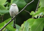 Benutzerübermitteltes Bild