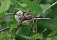 Benutzerübermitteltes Bild