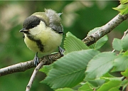 Benutzerübermitteltes Bild