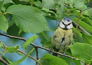 Benutzerübermitteltes Bild