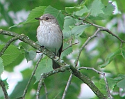 Benutzerübermitteltes Bild