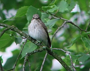 Benutzerübermitteltes Bild