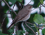 Benutzerübermitteltes Bild