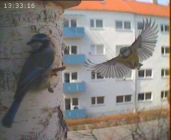 Benutzer&uuml;bermitteltes Bild