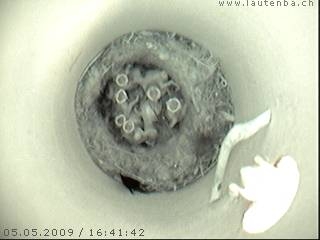 Benutzer&uuml;bermitteltes Bild