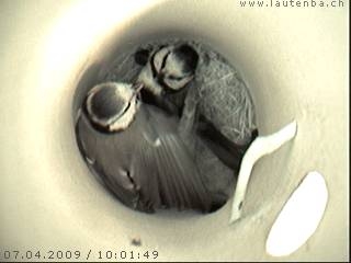 Benutzer&uuml;bermitteltes Bild