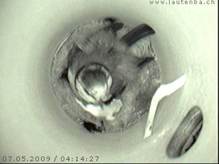 Benutzer&uuml;bermitteltes Bild