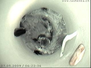 Benutzer&uuml;bermitteltes Bild