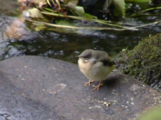 Benutzer&uuml;bermitteltes Bild