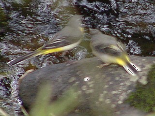 Benutzer&uuml;bermitteltes Bild