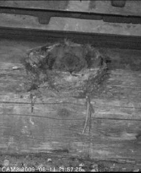 Benutzerübermitteltes Bild