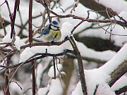 Benutzer&uuml;bermitteltes Bild