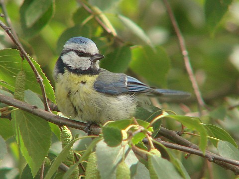 Benutzer&uuml;bermitteltes Bild