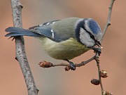 Benutzer&uuml;bermitteltes Bild