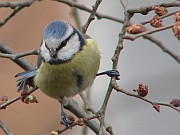 Benutzer&uuml;bermitteltes Bild