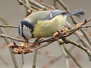 Benutzer&uuml;bermitteltes Bild