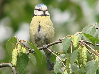 Benutzer&uuml;bermitteltes Bild
