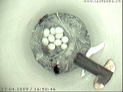 Benutzer&uuml;bermitteltes Bild