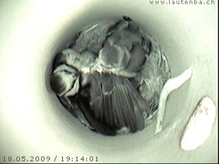 Benutzer&uuml;bermitteltes Bild