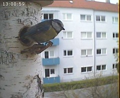 Benutzer&uuml;bermitteltes Bild