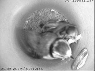 Benutzer&uuml;bermitteltes Bild