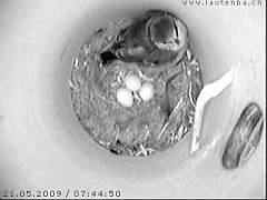 Benutzer&uuml;bermitteltes Bild