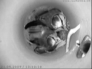 Benutzer&uuml;bermitteltes Bild