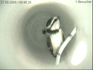 Benutzer&uuml;bermitteltes Bild