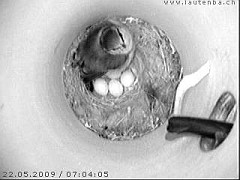 Benutzer&uuml;bermitteltes Bild