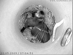 Benutzer&uuml;bermitteltes Bild