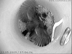 Benutzer&uuml;bermitteltes Bild