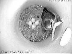 Benutzer&uuml;bermitteltes Bild