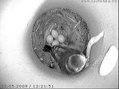 Benutzer&uuml;bermitteltes Bild