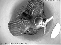 Benutzer&uuml;bermitteltes Bild