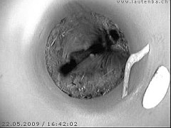 Benutzer&uuml;bermitteltes Bild