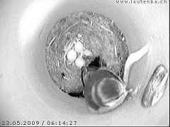 Benutzer&uuml;bermitteltes Bild