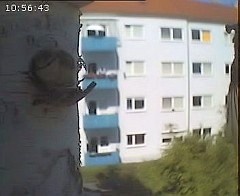 Benutzer&uuml;bermitteltes Bild