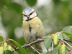 Benutzer&uuml;bermitteltes Bild