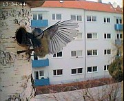 Benutzer&uuml;bermitteltes Bild