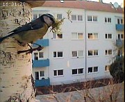 Benutzer&uuml;bermitteltes Bild