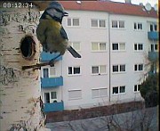 Benutzer&uuml;bermitteltes Bild